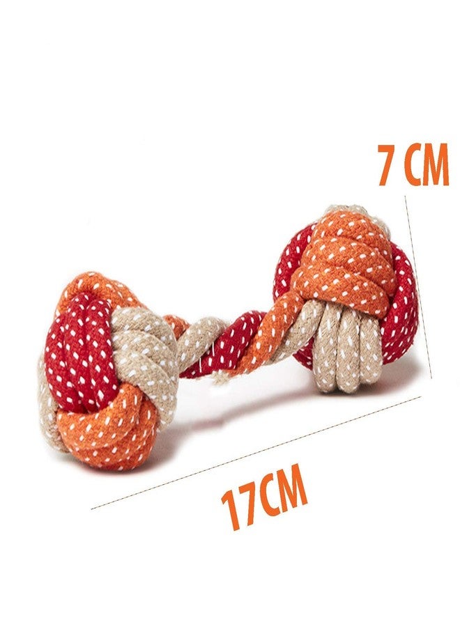 Pet Believe Combo of 3 Durable Cotton Made Rope Toys for Dogs & Puppies |2 Carrot Rope Toy | 1 Rope Dumbbell (Combo of 3) Colour May Very - Image 3